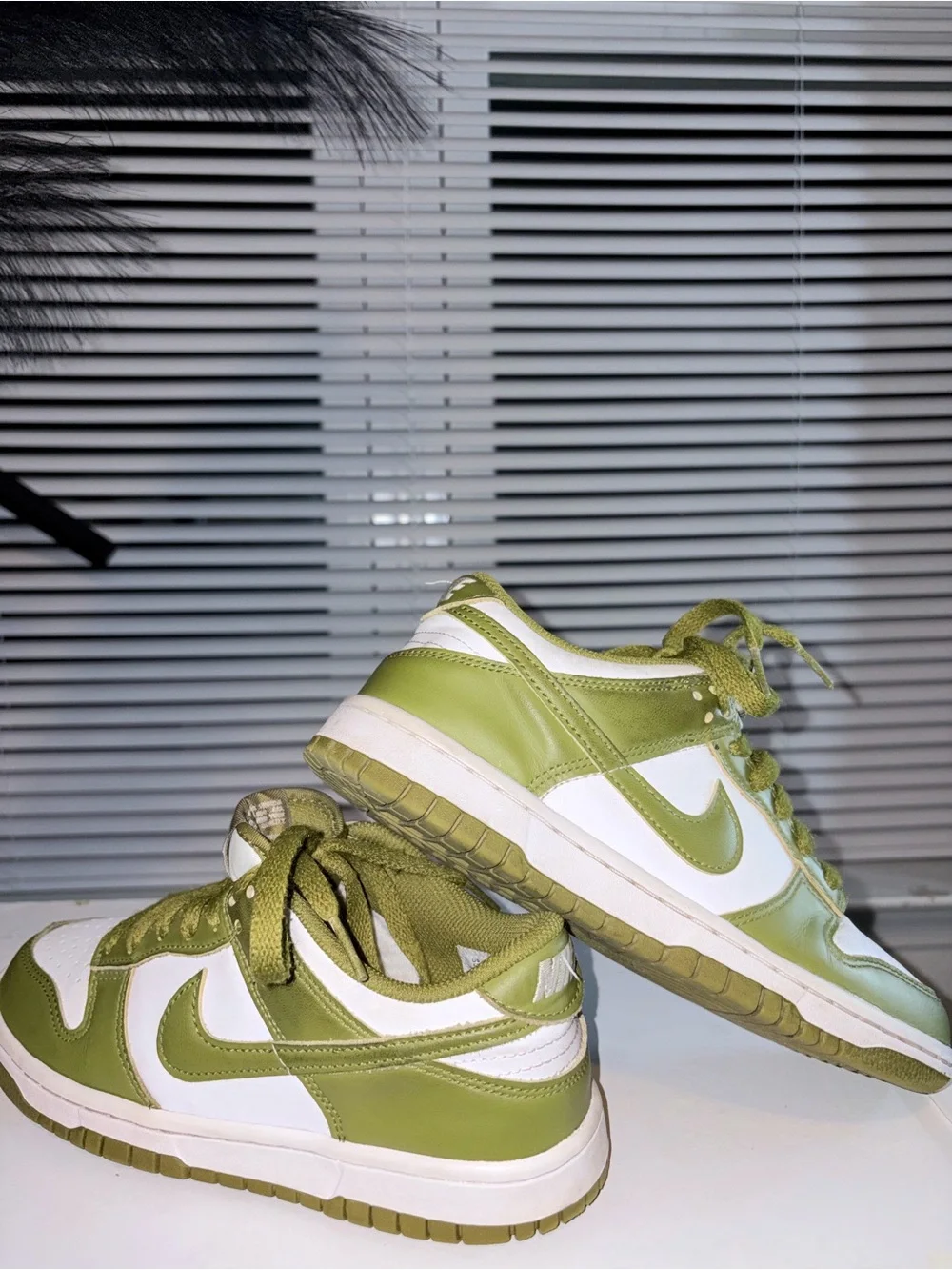 Kids Nike Dunk Green and White Low-Top Sneakers